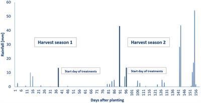 The Effect of Deficit Irrigation Strategies on the Efficiency From Plant to Essential Oil Production in Peppermint (Mentha piperita L.)